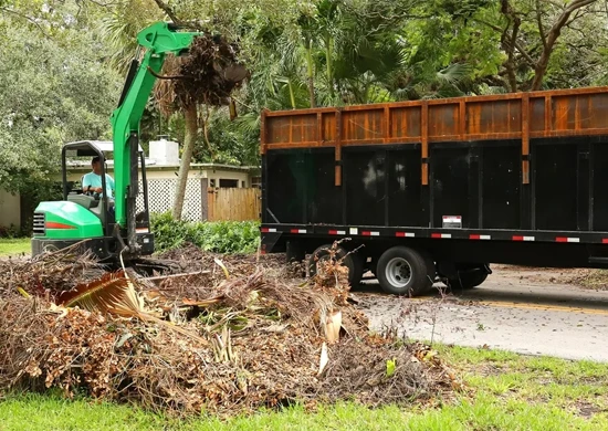 Emergency Debris Removal In Fort Myers